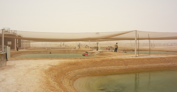 fish-farms-used-in-sbrcs-jet-biofuel-project