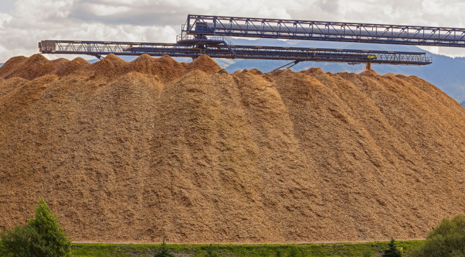 Coalition for Advancing Low Carbon Fuels Launches at COP22