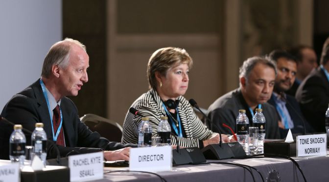 Ministers Gather to Discuss Development with Off-Grid Renewables