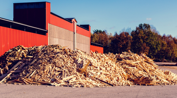 Developing Bankable Woody Biomass Projects