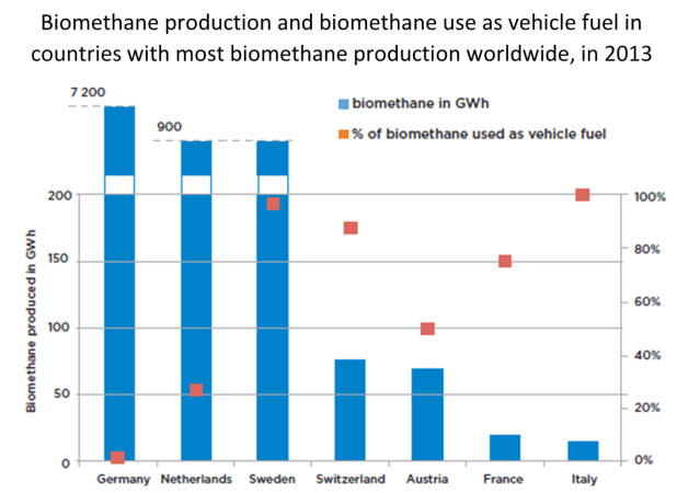 Biomethane production and biomethane use as vehicle fuel in countries with most biomethane production worldwide, in 2013
