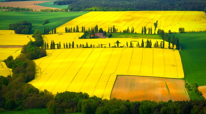 Growing Sustainably with Bioenergy